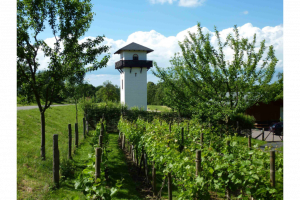 limesturm-hillscheid